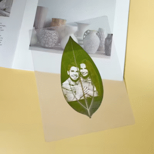 Gjethe e thate per personalizim qe vendoset ne kornize transparente